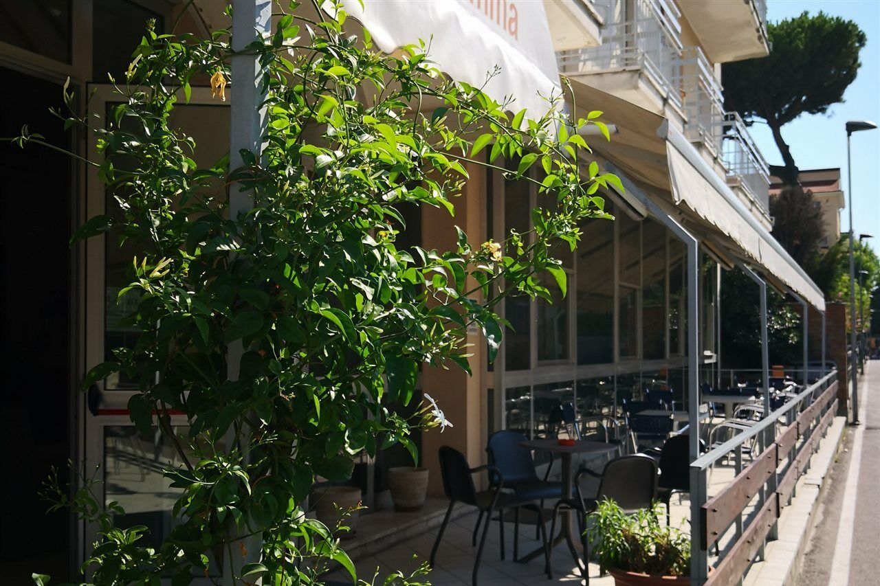 Hotel Gemma ريميني المظهر الخارجي الصورة
